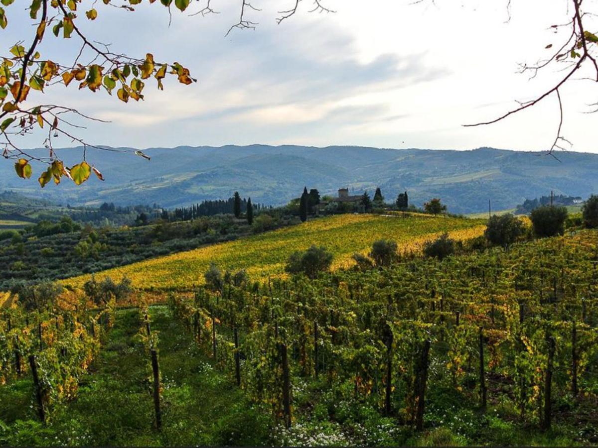Holiday Home Locazione Turistica Selvapiana By Interhome Greve in Chianti Kültér fotó